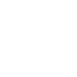 Psicólogo Bryan Brinque